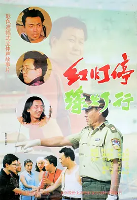feijisu06